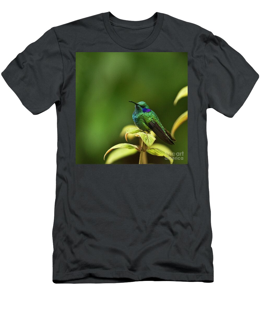 Bird T-Shirt featuring the photograph Green Violetear Hummingbird by Heiko Koehrer-Wagner