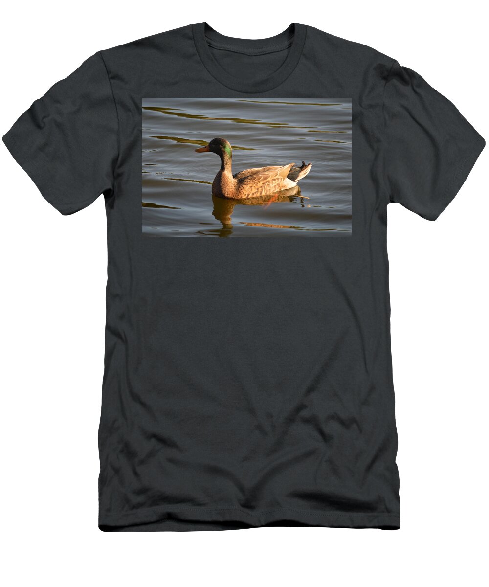 Green Winged Teal T-Shirt featuring the photograph Green Winged Teal by Linda Kerkau