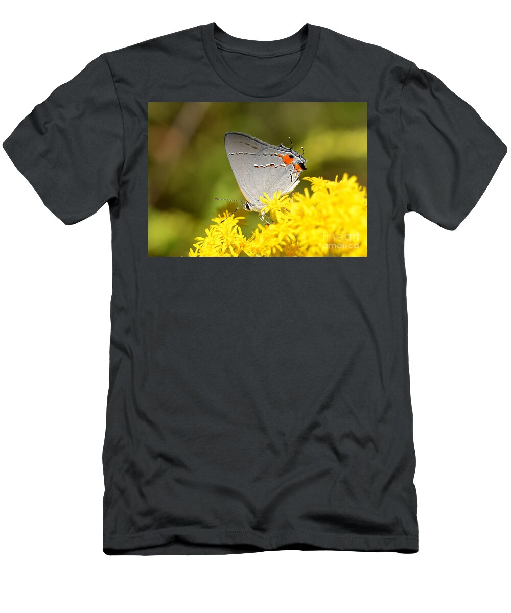Butterfly T-Shirt featuring the photograph Grey Hairstreak Butterfly by Kathy Baccari