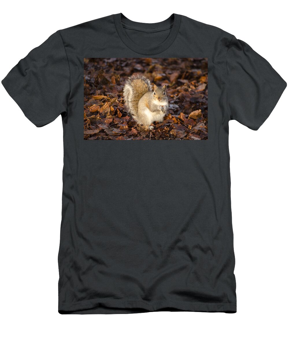Squirrel T-Shirt featuring the photograph Grey squirrel by Spikey Mouse Photography