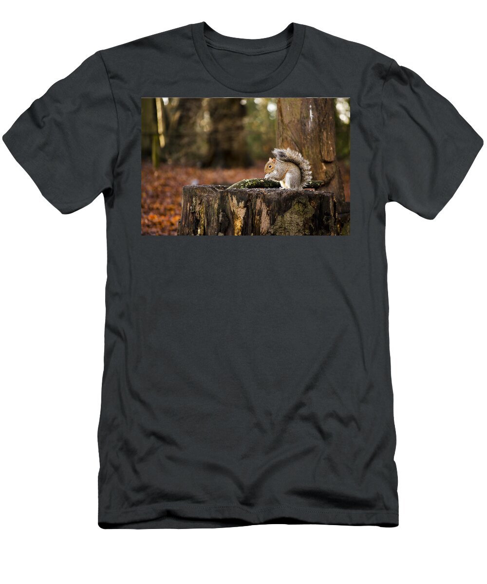 Squirrel T-Shirt featuring the photograph Grey Squirrel on a Stump by Spikey Mouse Photography