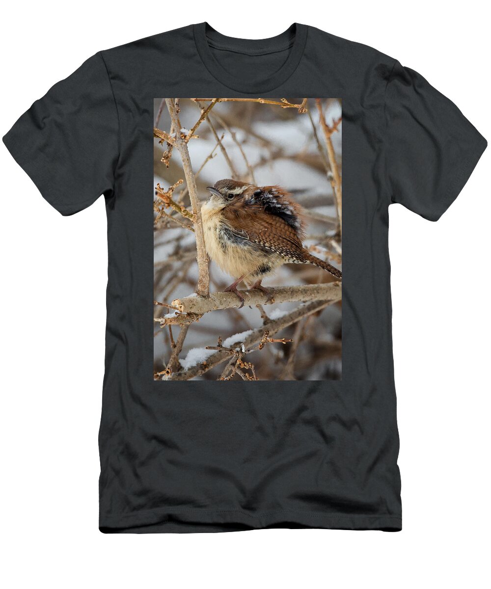 Wren T-Shirt featuring the photograph Grumpy Bird by Bill Wakeley