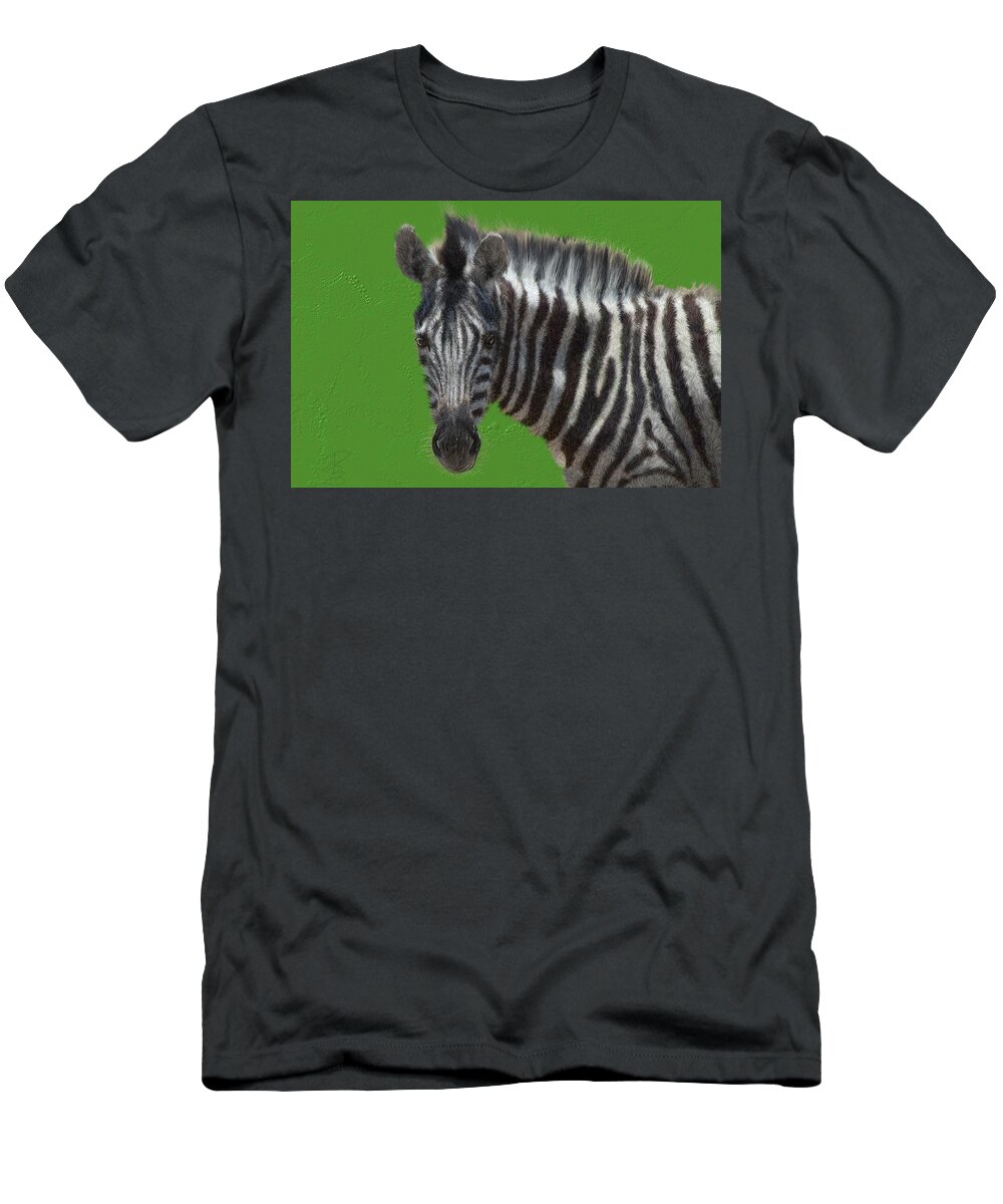 Zebra T-Shirt featuring the digital art Hairy zebra by Debra Baldwin