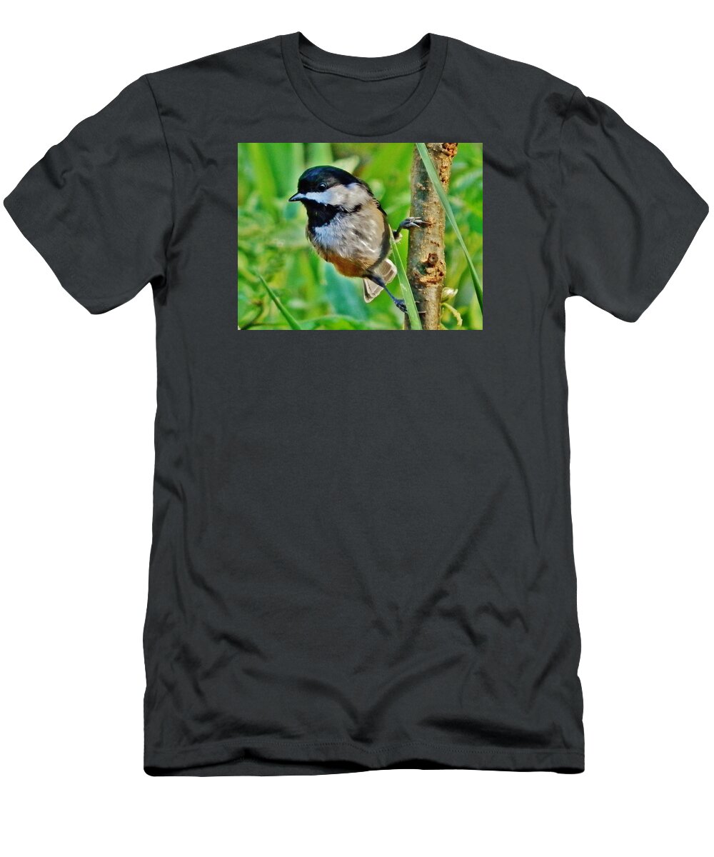 Bird T-Shirt featuring the photograph Hanging Sideways by VLee Watson