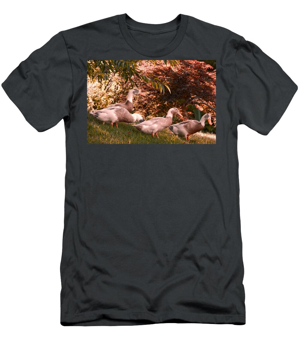 Duck T-Shirt featuring the photograph Happy Ducks by Natalie Rotman Cote