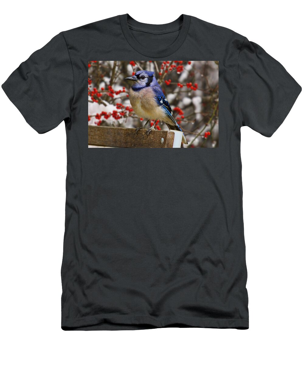 Happy T-Shirt featuring the photograph Happy Holidays by Gary Holmes