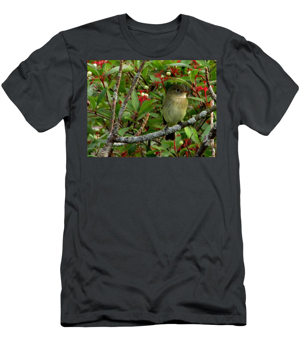 Bird T-Shirt featuring the photograph Hardly the least Least Flycatcher by Kimberly Mackowski