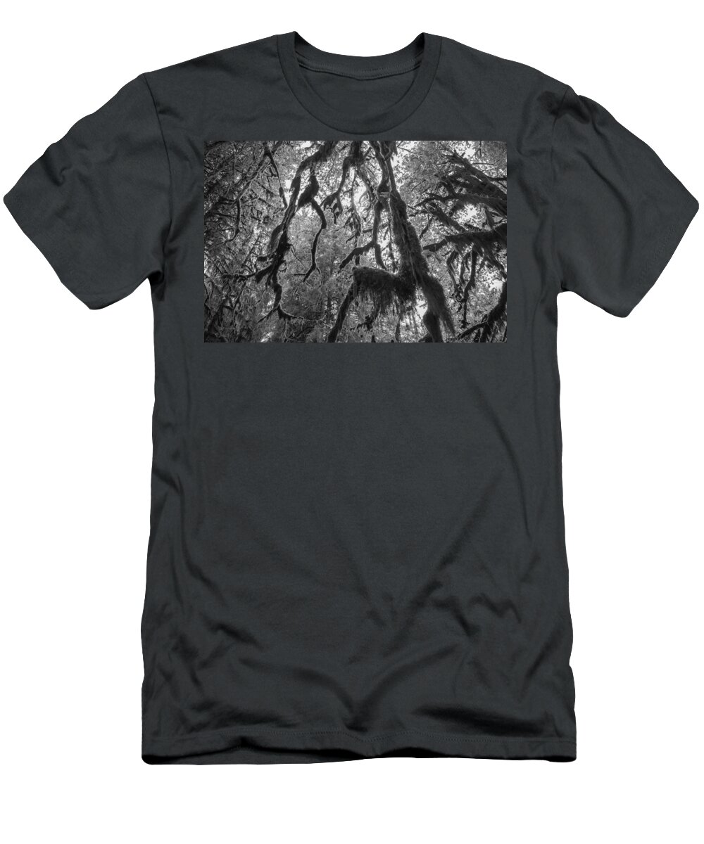 Hoh Rainforest T-Shirt featuring the photograph Haunted by Kristopher Schoenleber