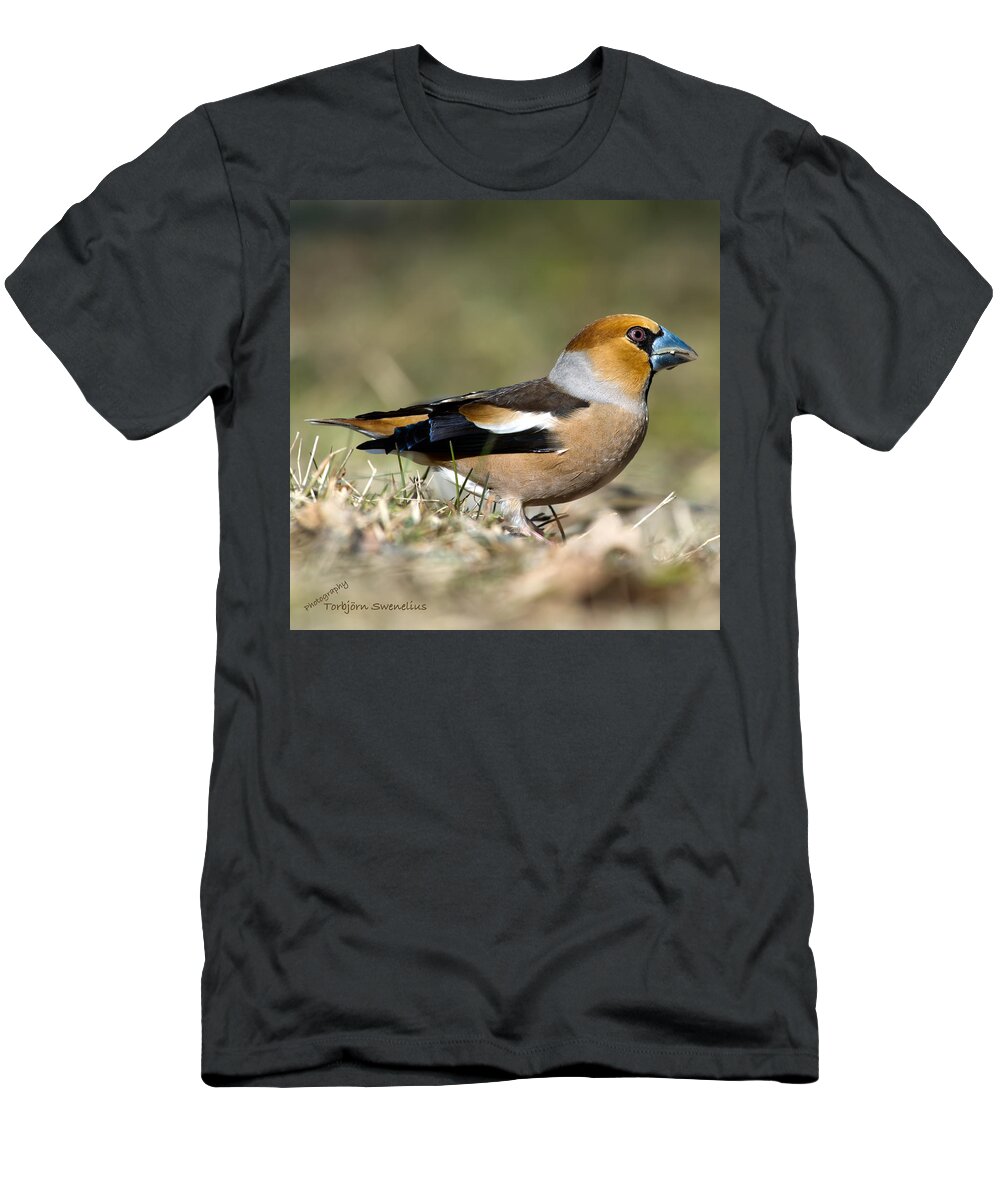 Hawfinch's Profile Square T-Shirt featuring the photograph Hawfinch's Profile Square by Torbjorn Swenelius