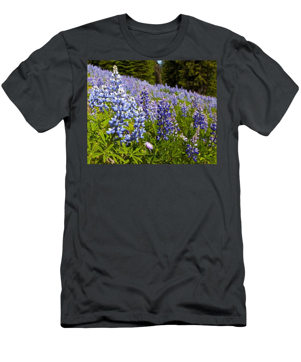 Alpine Prints T-Shirt featuring the photograph Heavenly Blue Lupins by Theresa Tahara