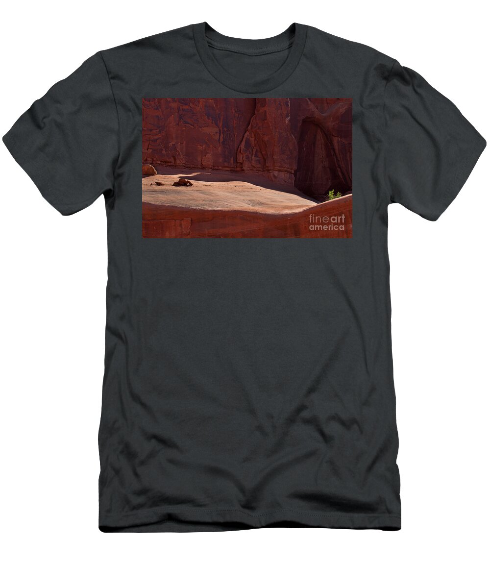 Arches National Park Print T-Shirt featuring the photograph Hold On by Jim Garrison