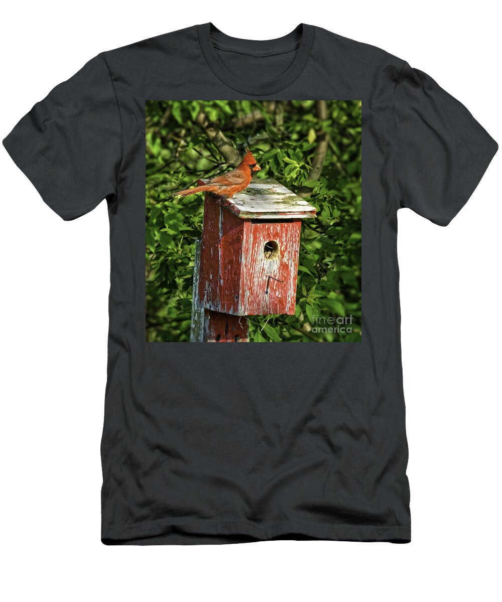 Cardinal T-Shirt featuring the photograph Home by Jan Killian