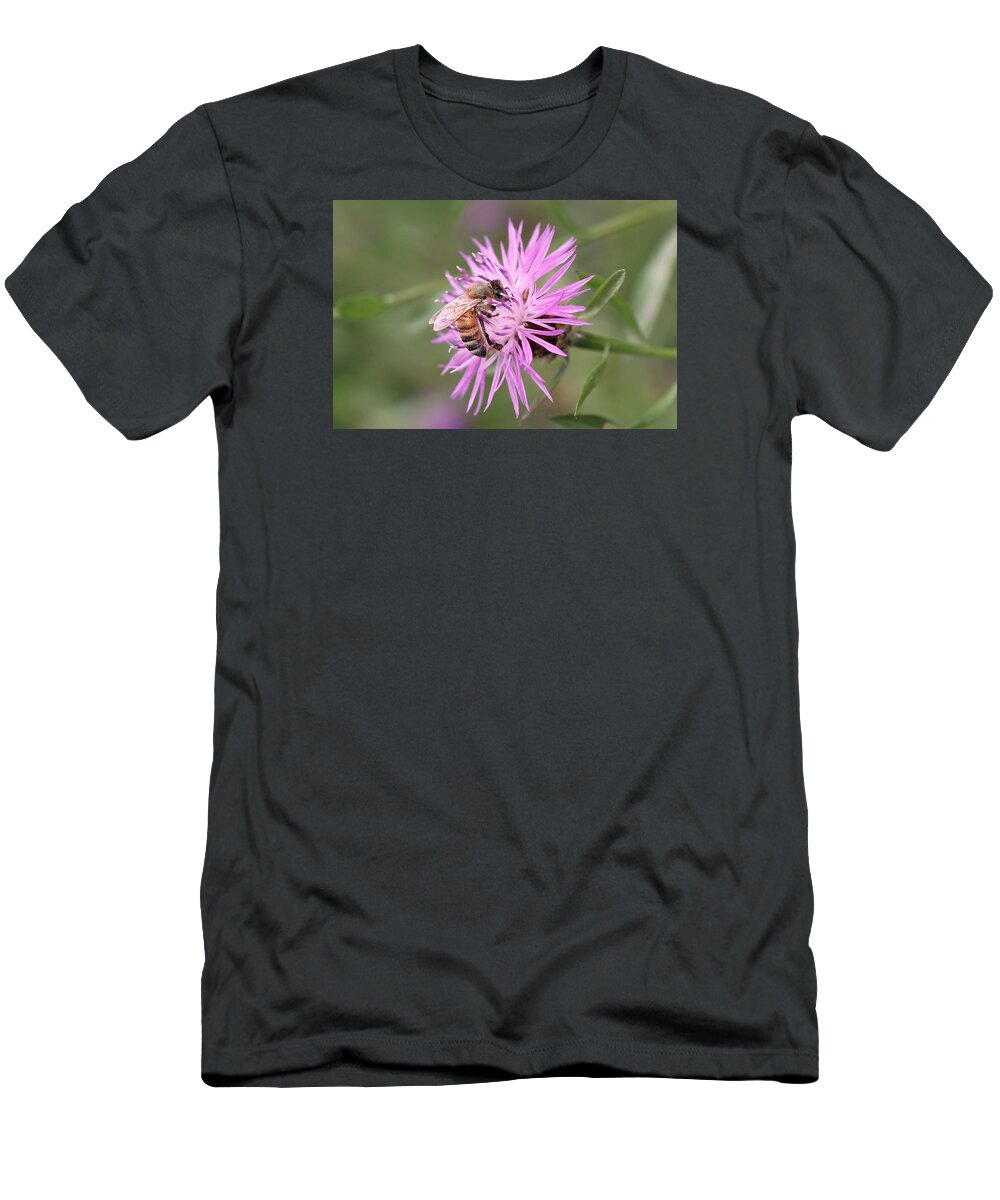 Honeybee T-Shirt featuring the photograph Honeybee on Ironweed by Lucinda VanVleck