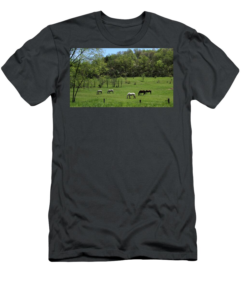 Green Pasture T-Shirt featuring the photograph Horse 27 by David Yocum