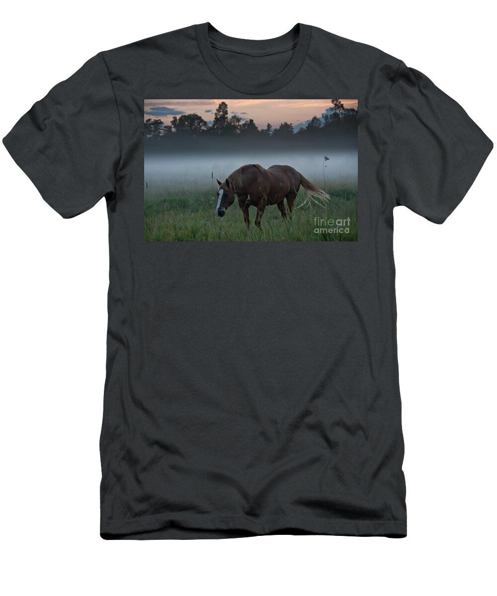 Landscape T-Shirt featuring the photograph Horse and Fog by Cheryl Baxter
