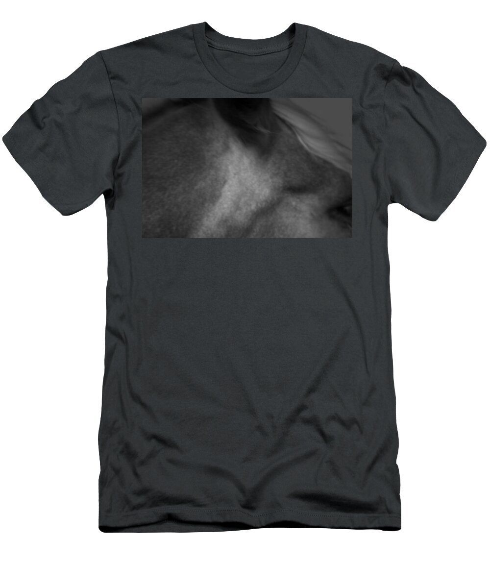 Horse T-Shirt featuring the photograph Horse Play by Mark Ross