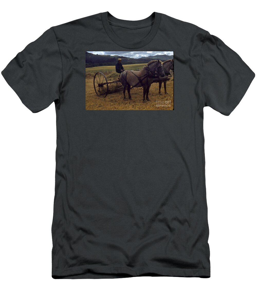 Horsedrawn T-Shirt featuring the photograph Horsedrawn Harvester hay rake on the Berta Ranch Carmel Valley California circa 1950 by Monterey County Historical Society
