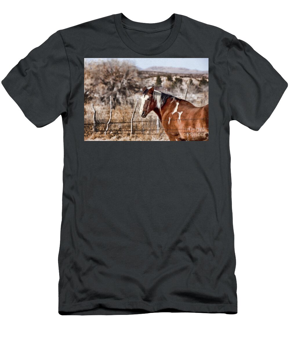 Horse T-Shirt featuring the photograph Horsing About V3 by Douglas Barnard