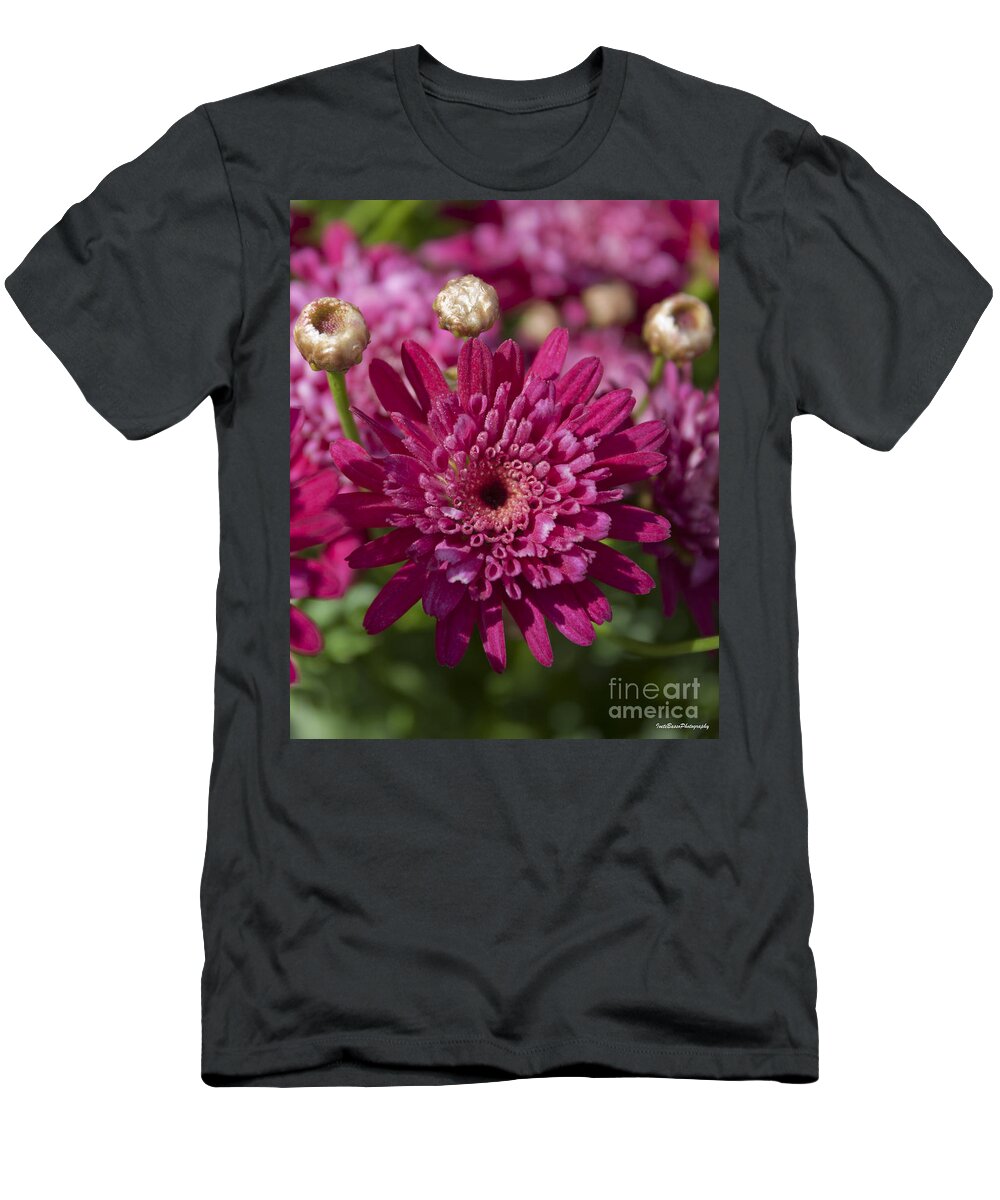 Hot Pink Chrysanthemum T-Shirt featuring the photograph Hot Pink Chrysanthemum by Ivete Basso Photography
