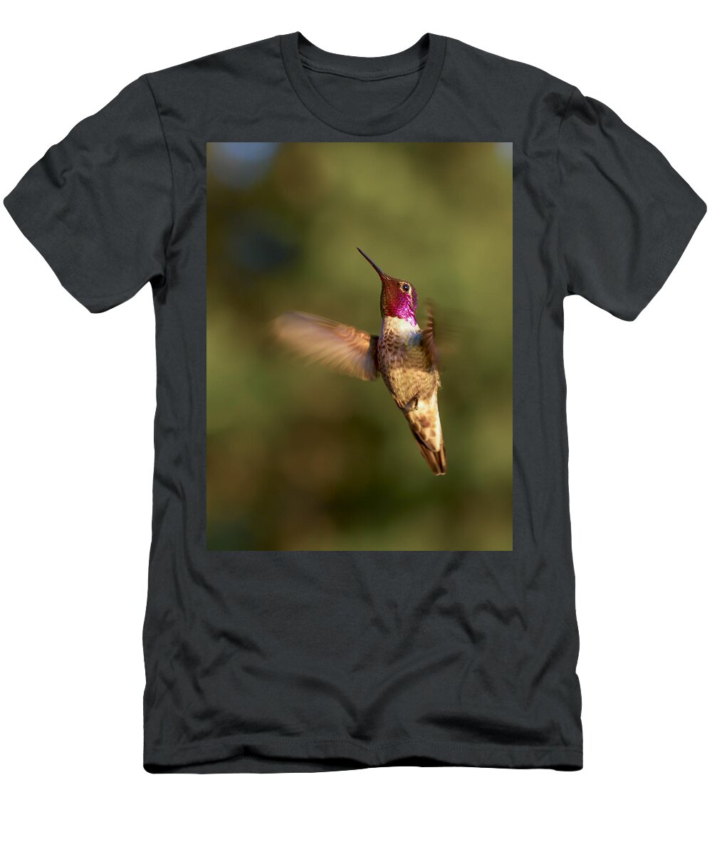 Humming Bird T-Shirt featuring the photograph Hovering Hummer by Jean Noren
