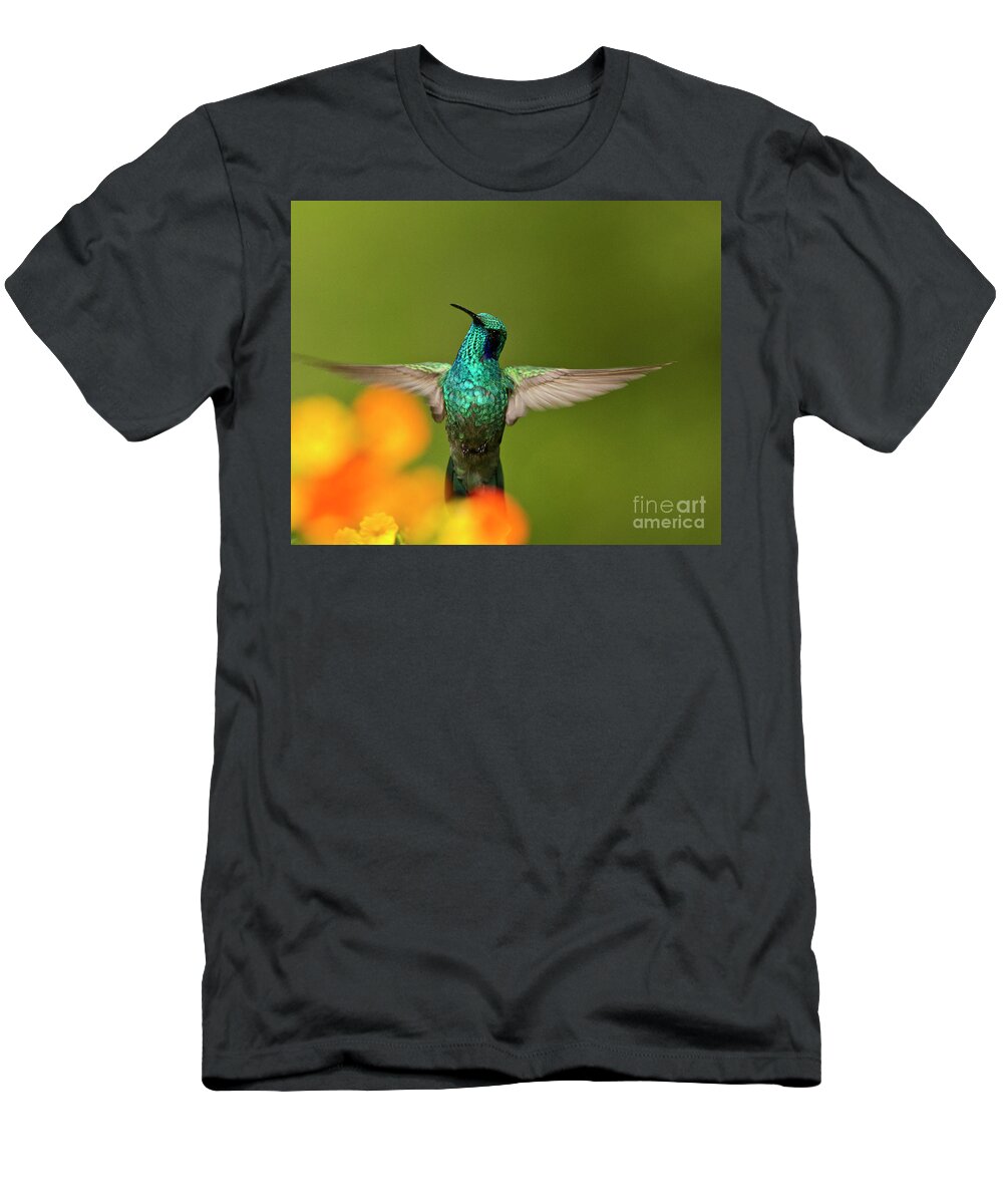 Bird T-Shirt featuring the photograph Humming along by Heiko Koehrer-Wagner