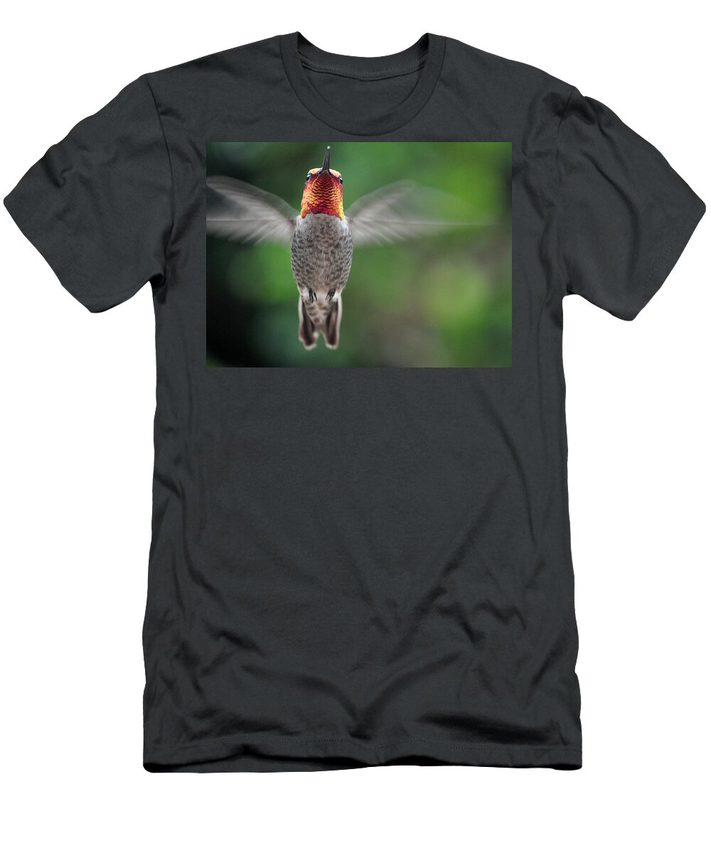 Hummingbird T-Shirt featuring the photograph Hummingbird In Flight Male Anna by Jay Milo