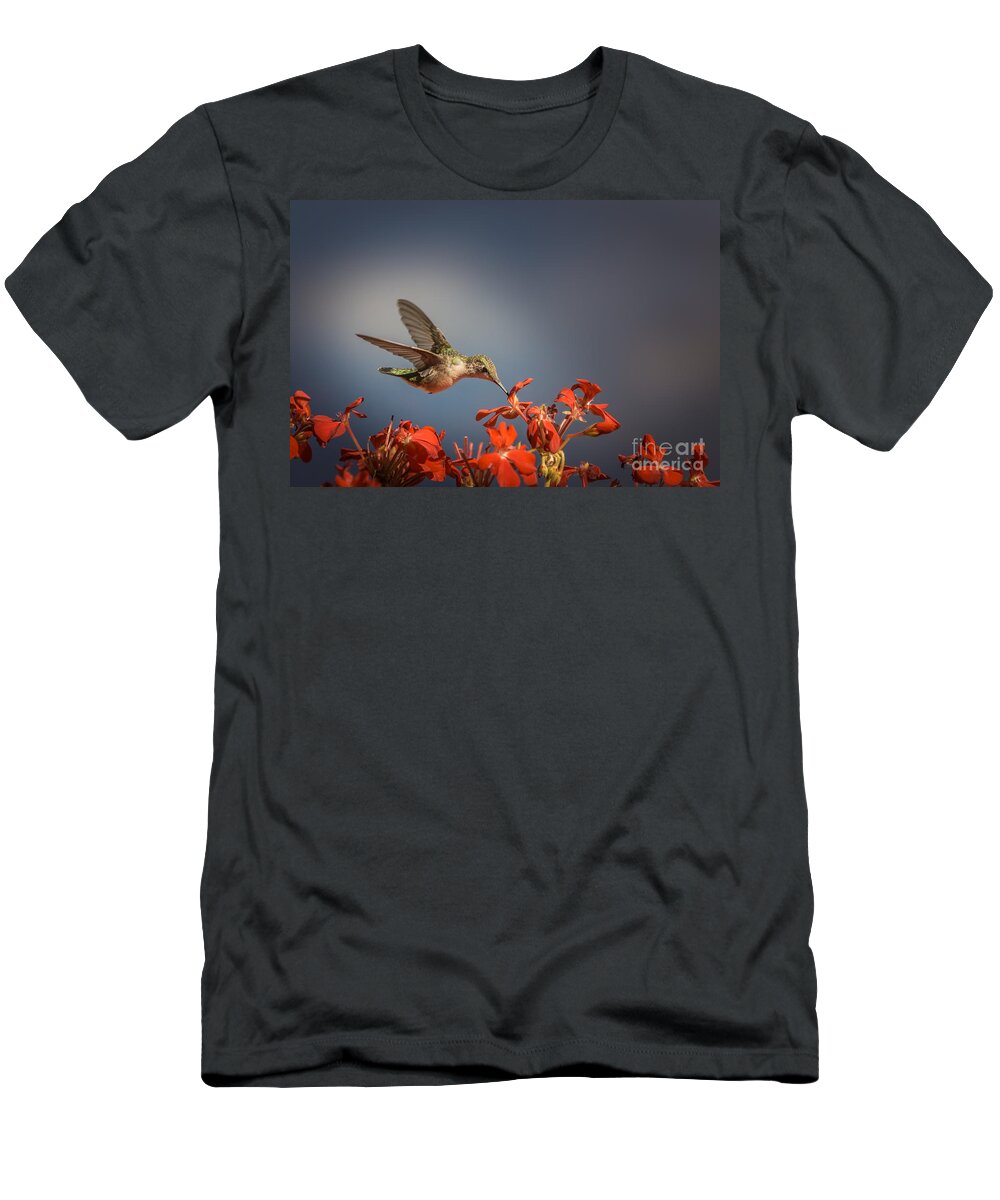 Hummingbird T-Shirt featuring the photograph Hummingbird or My Summer Visitor by Jola Martysz