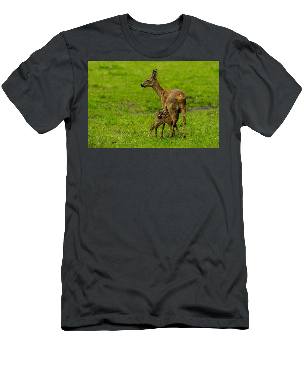 Hungry Roe Deer Fawn T-Shirt featuring the photograph Hungry by Torbjorn Swenelius