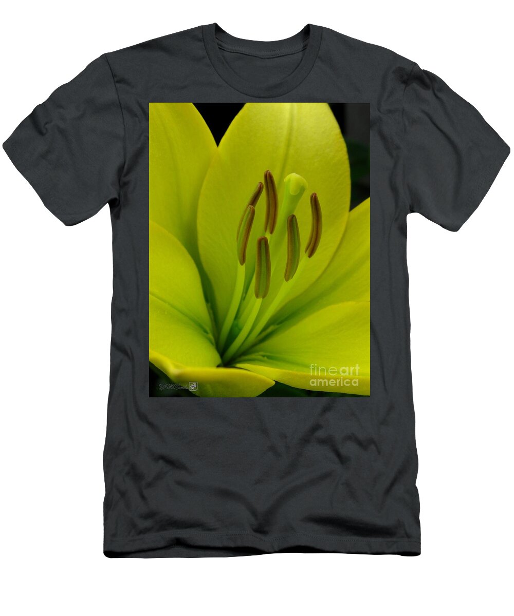 Hybrid Lily T-Shirt featuring the photograph Hybrid Lily named Trebbiano by J McCombie