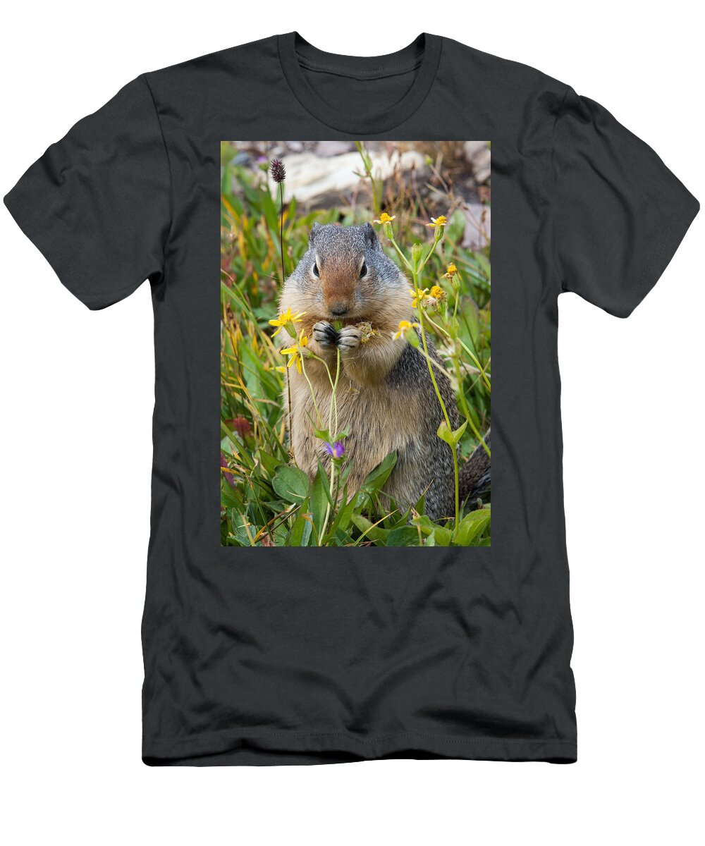 Columbian Ground Squirrel T-Shirt featuring the photograph I will have the salad to go by Jack Bell