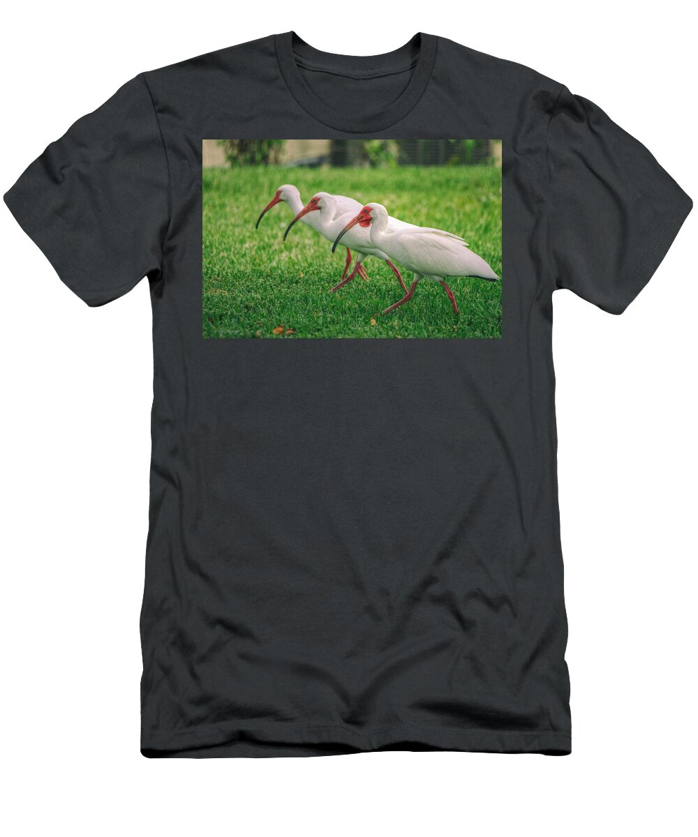 White Ibis T-Shirt featuring the photograph Ibis Lawn Service by Dennis Baswell