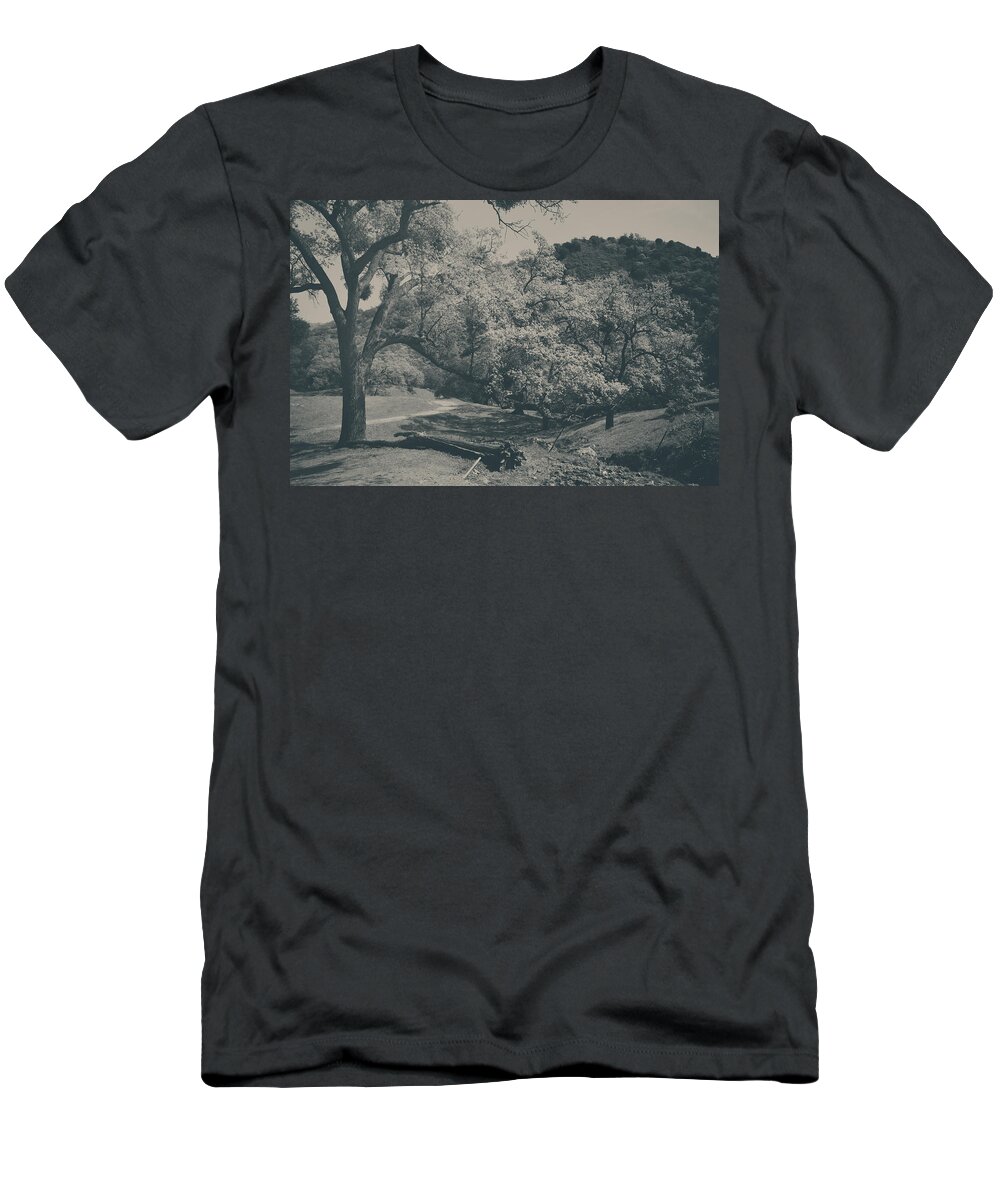 Sunol Regional Wilderness T-Shirt featuring the photograph If You Get Lonely by Laurie Search