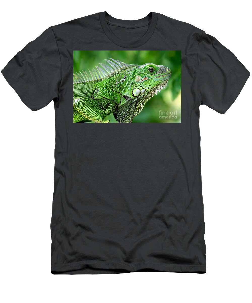 Nature T-Shirt featuring the photograph Iguana by Francisco Pulido