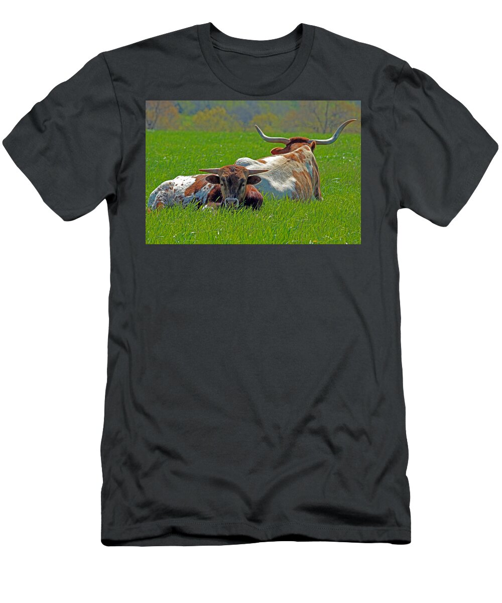 Longhorn T-Shirt featuring the photograph I'm Just a Baby by Lynn Sprowl
