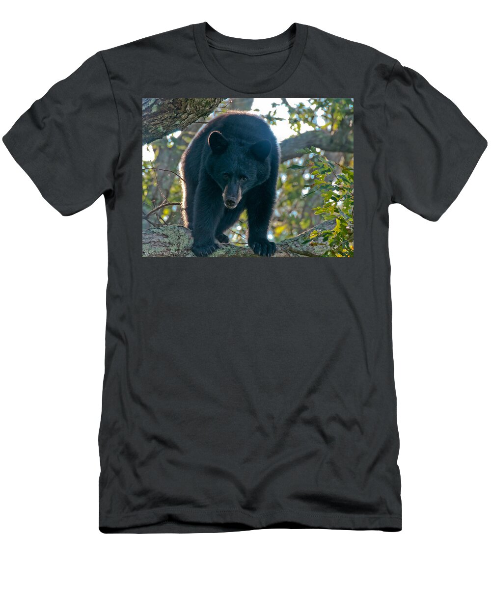 New England T-Shirt featuring the photograph I'm Up Here by Brenda Jacobs