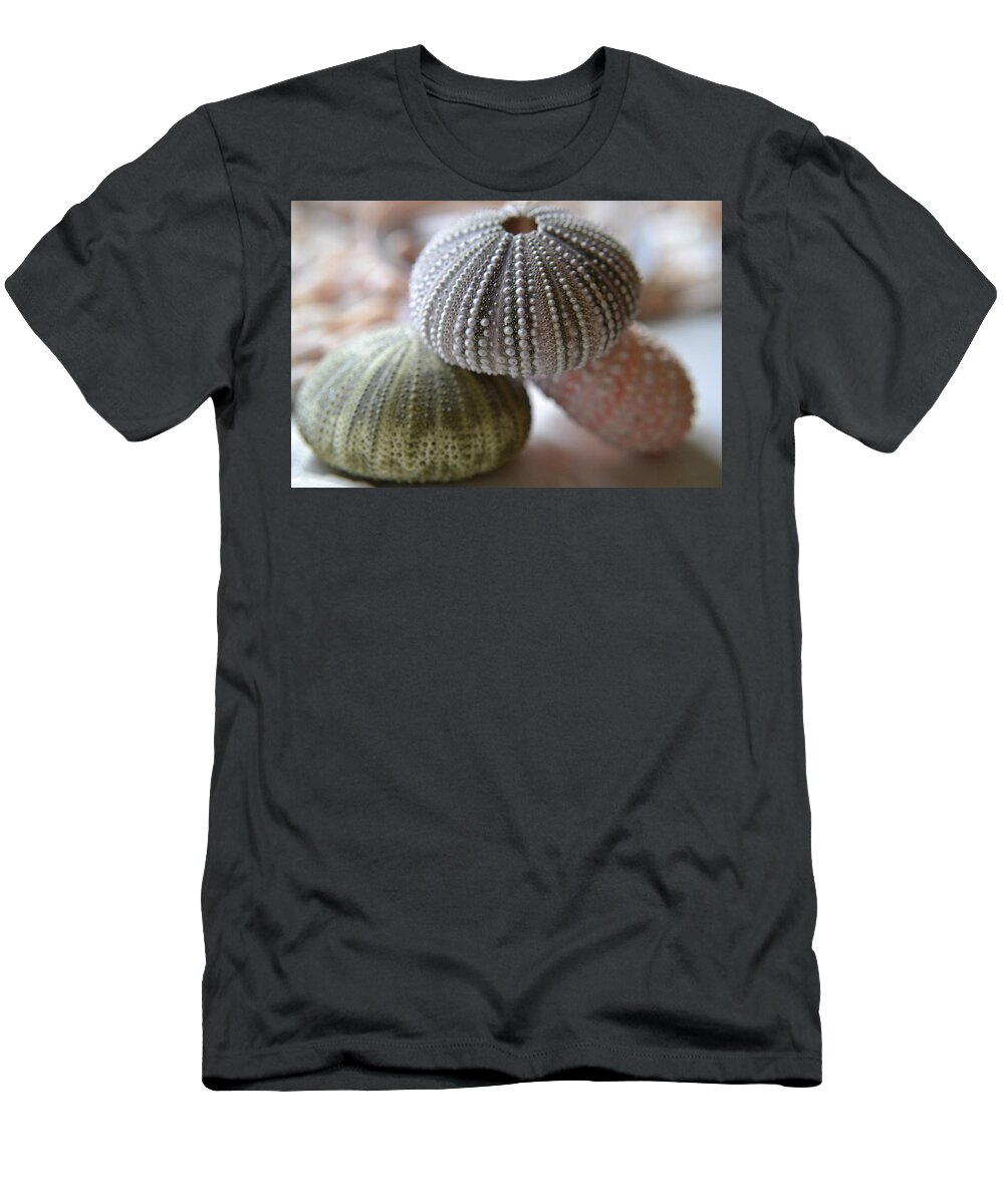 Seashells T-Shirt featuring the photograph Imagination by Melanie Moraga