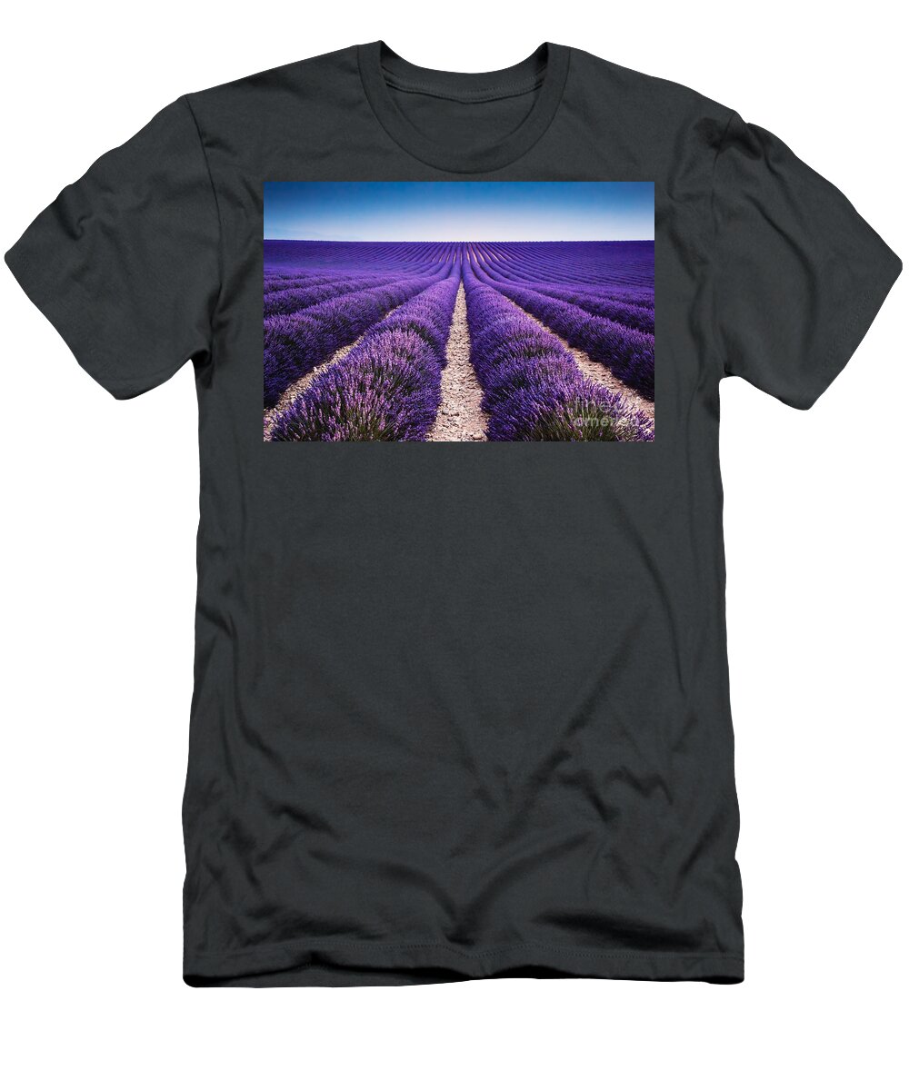 Lavender T-Shirt featuring the photograph In the lavender by Matteo Colombo