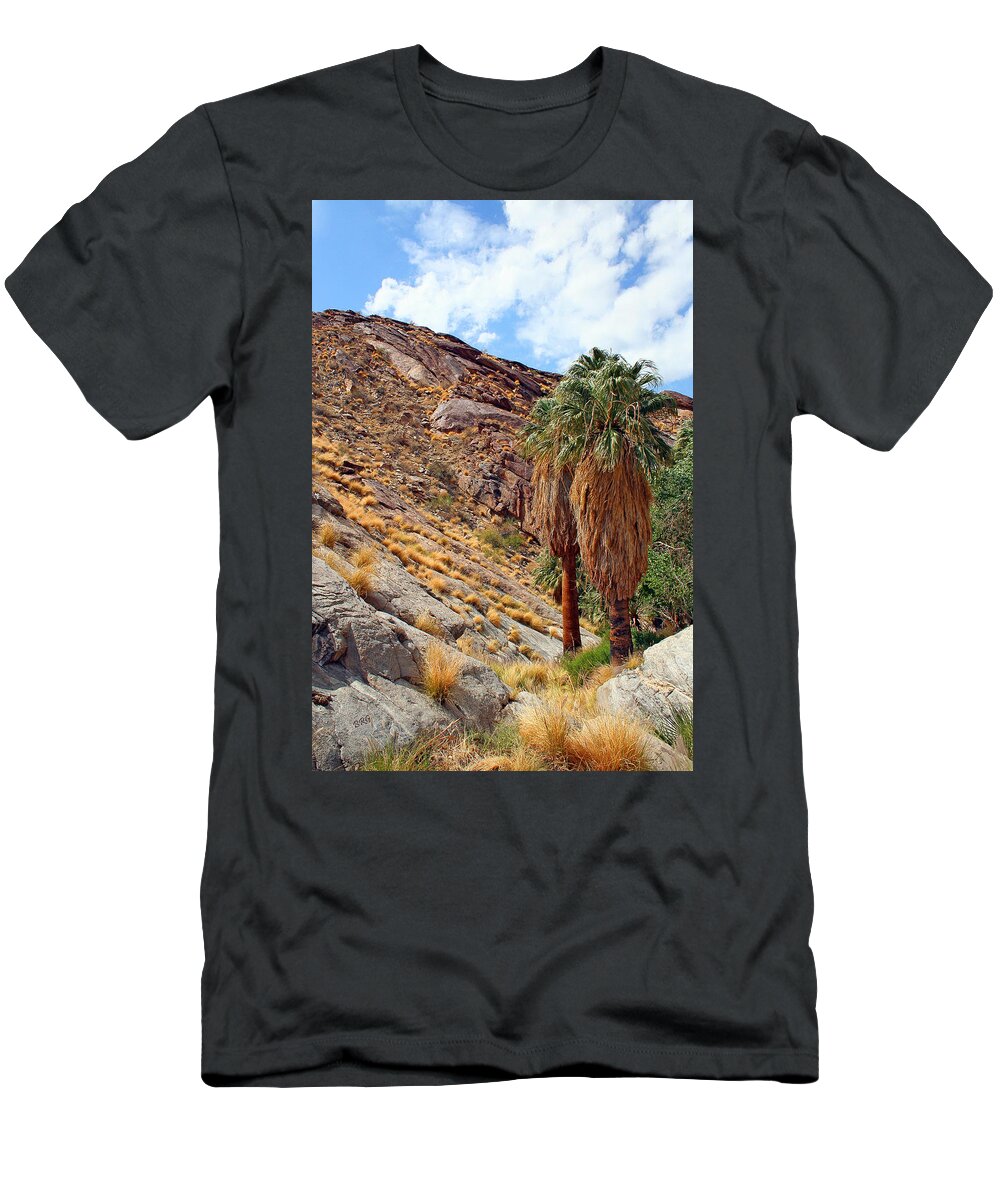 Landscape T-Shirt featuring the photograph Indian Canyons View With Two Palms by Ben and Raisa Gertsberg