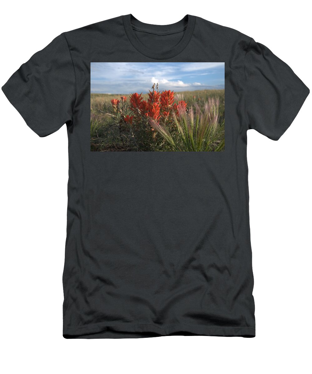 Flower T-Shirt featuring the photograph Indian Paintbrush by Frank Madia