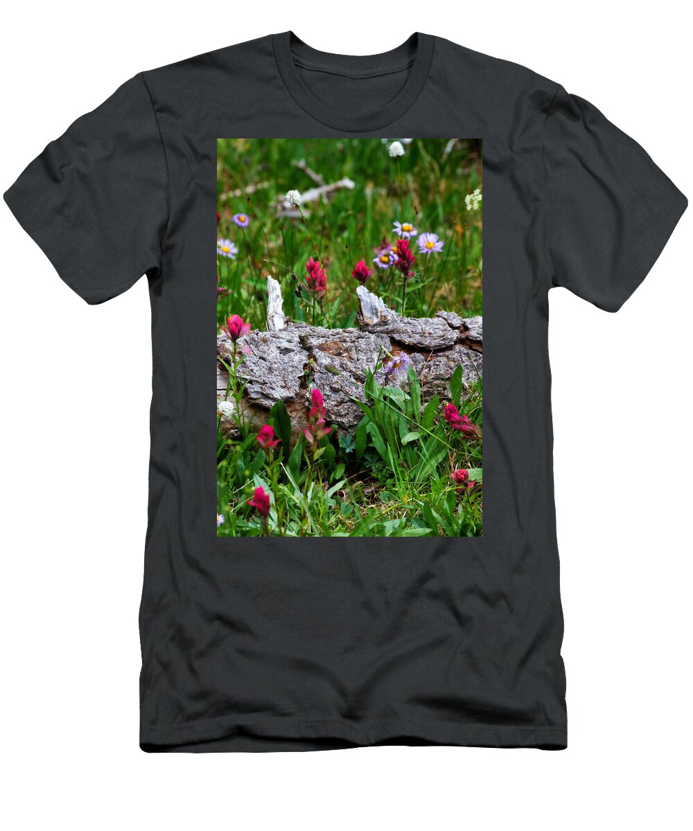 Landscapes T-Shirt featuring the photograph Indian Paintbrush by Ronda Kimbrow