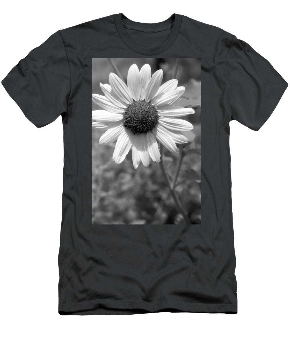 Sunflower T-Shirt featuring the photograph Infrared - Sunflower by Pamela Critchlow