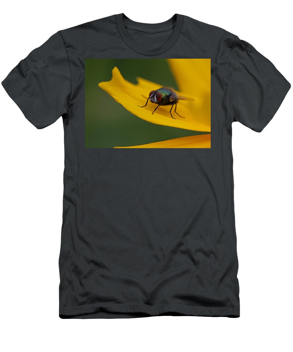Insect T-Shirt featuring the photograph Insect by Juergen Roth
