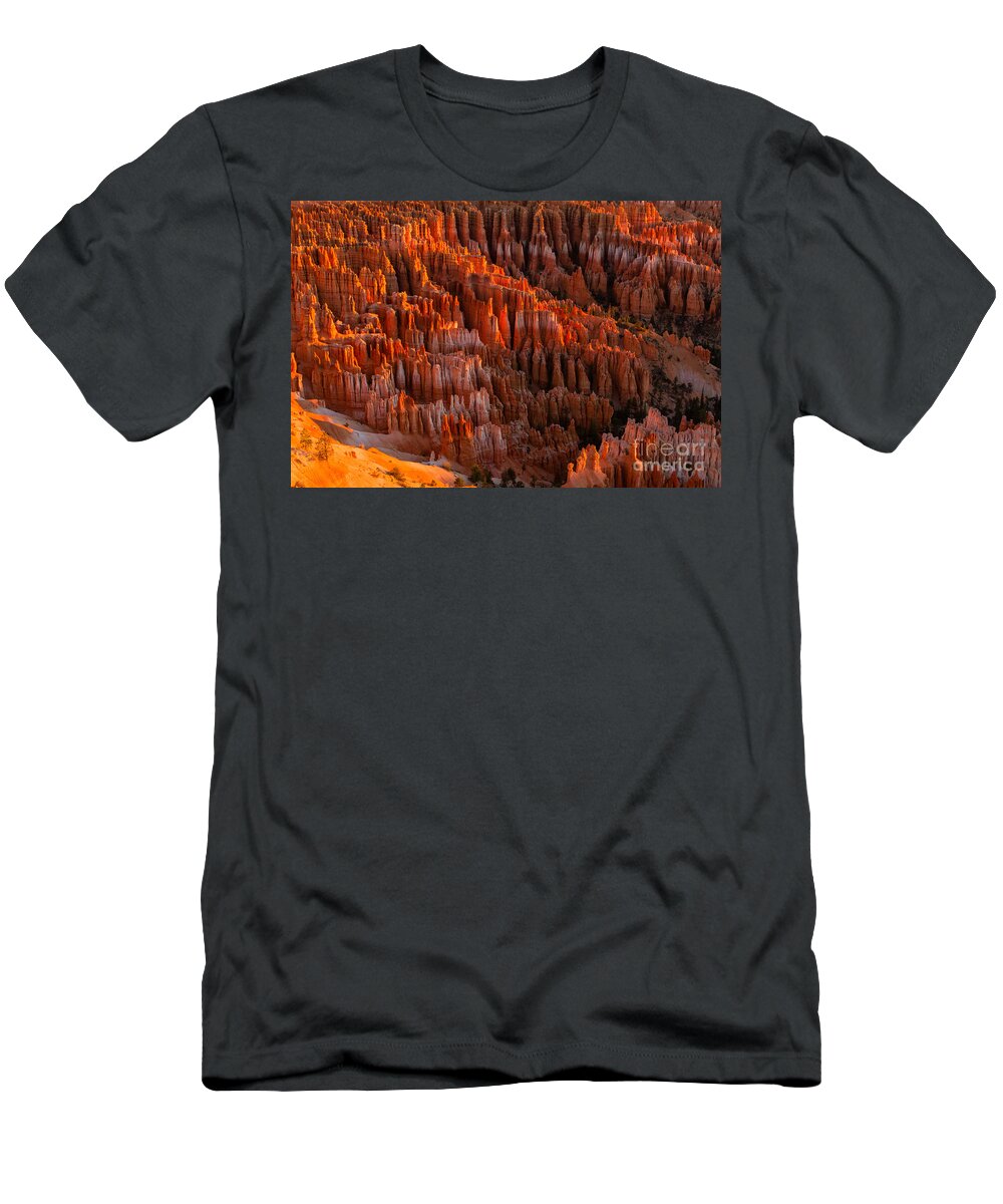 American Southwest T-Shirt featuring the photograph inspiration Point 4 by Dan Hartford