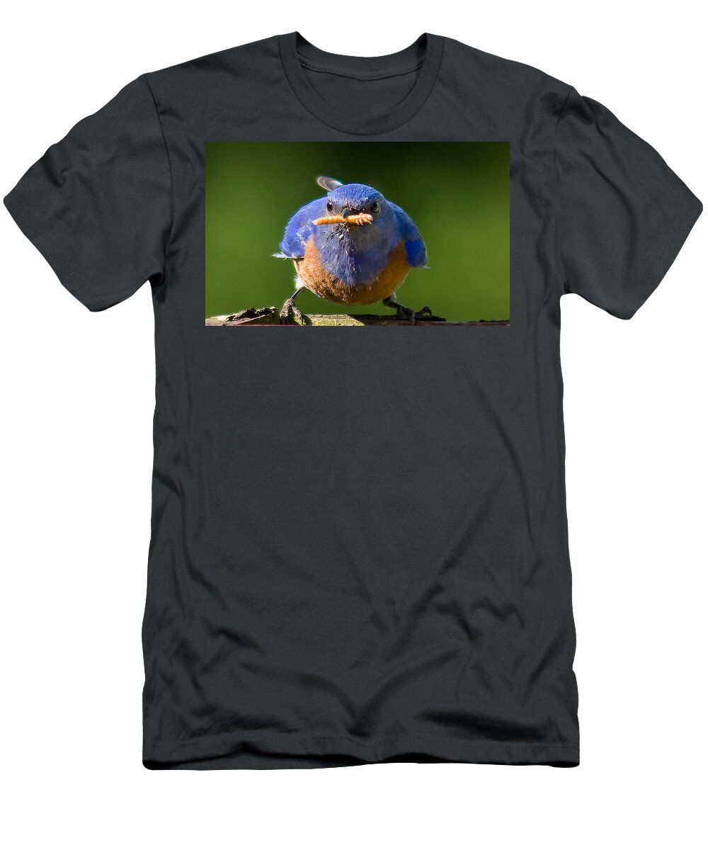 Animals T-Shirt featuring the photograph Interupted by Jean Noren