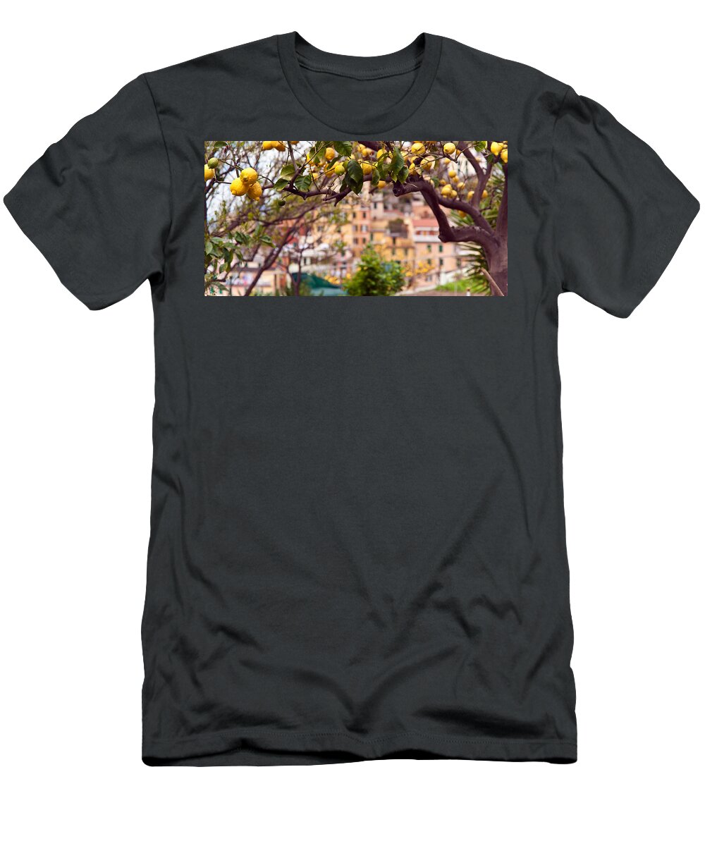 Riomaggiore T-Shirt featuring the photograph Italian Lemon Grove by Mike Reid