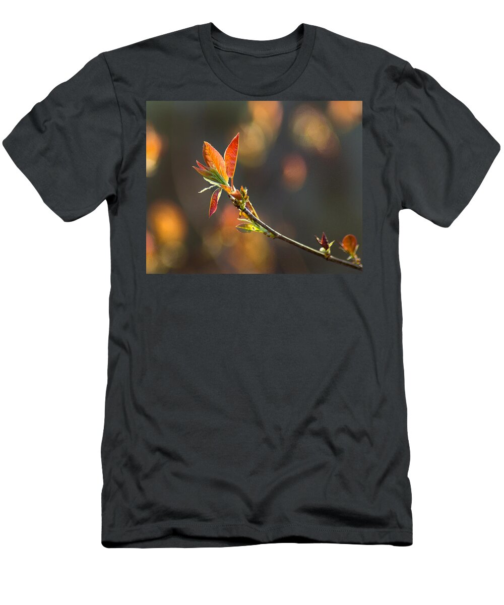 Forest T-Shirt featuring the photograph It's A Spring Thing by Bill Pevlor