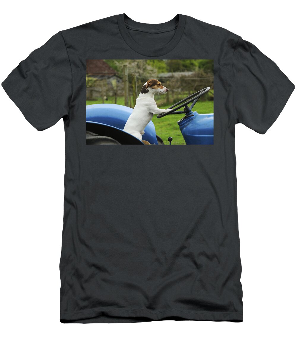 Dog T-Shirt featuring the photograph Jack Russell Terrier On Tractor by John Daniels