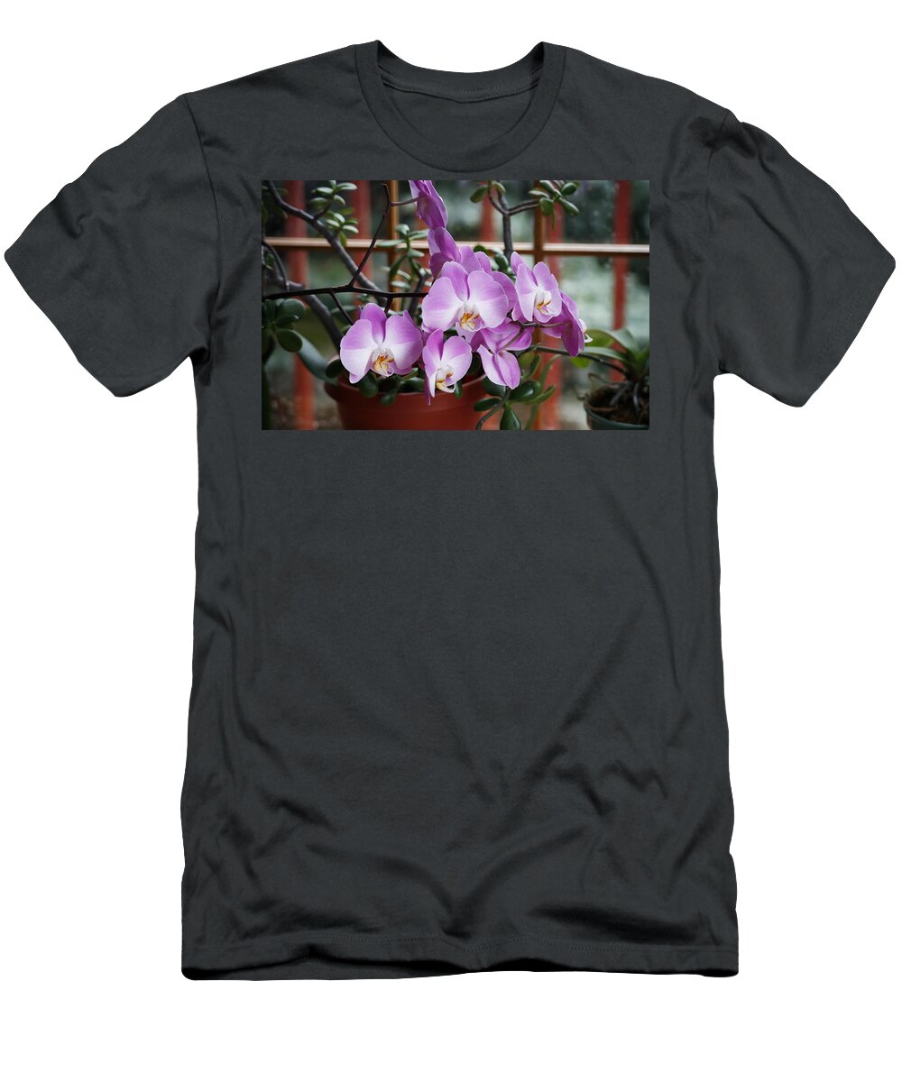 Jade T-Shirt featuring the photograph Jade and Orchid by Marilyn Hunt
