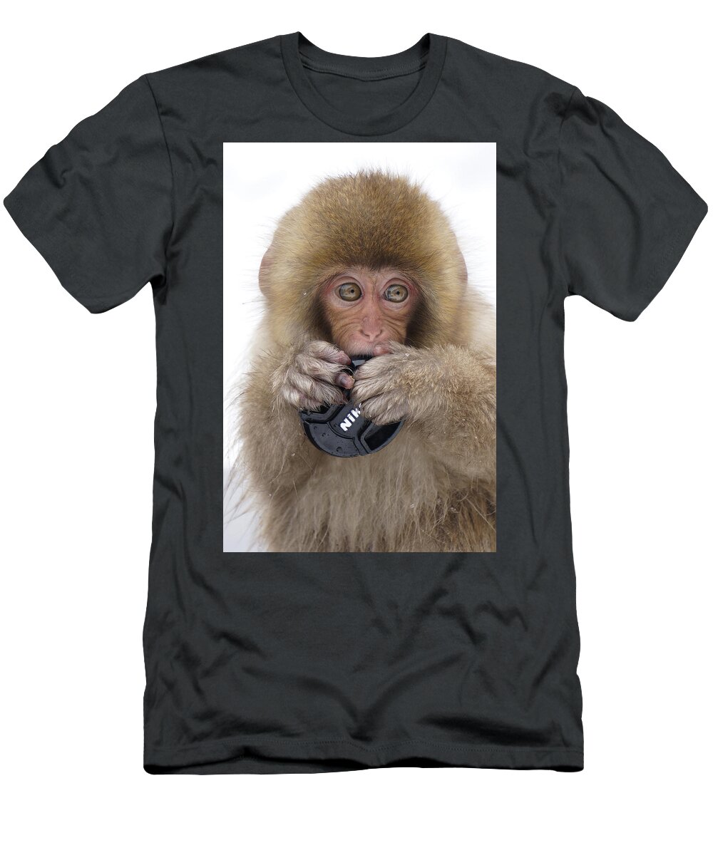 Feb0514 T-Shirt featuring the photograph Japanese Macaque Juvenile Playing by Hiroya Minakuchi