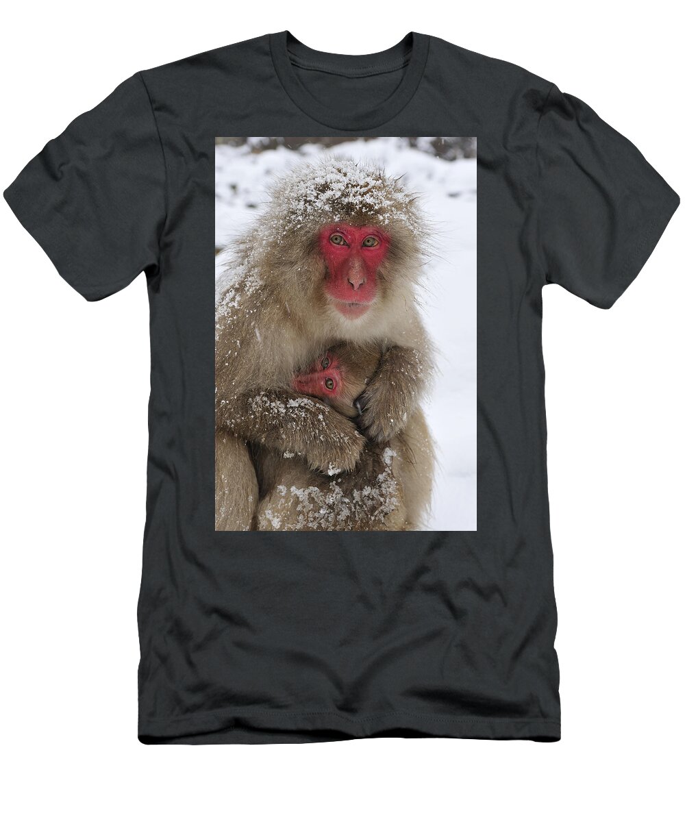 Thomas Marent T-Shirt featuring the photograph Japanese Macaque Warming Baby by Thomas Marent